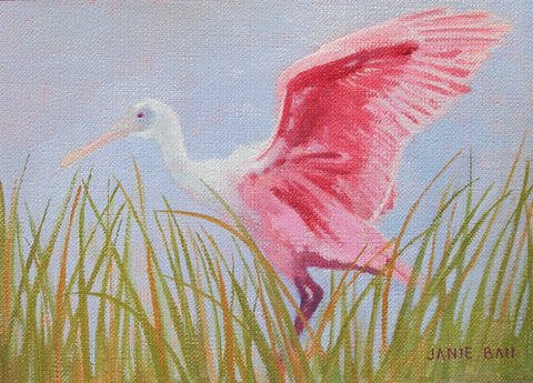 Spoonbill I