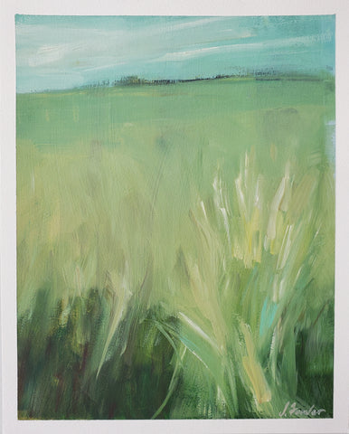 Into the Meadow