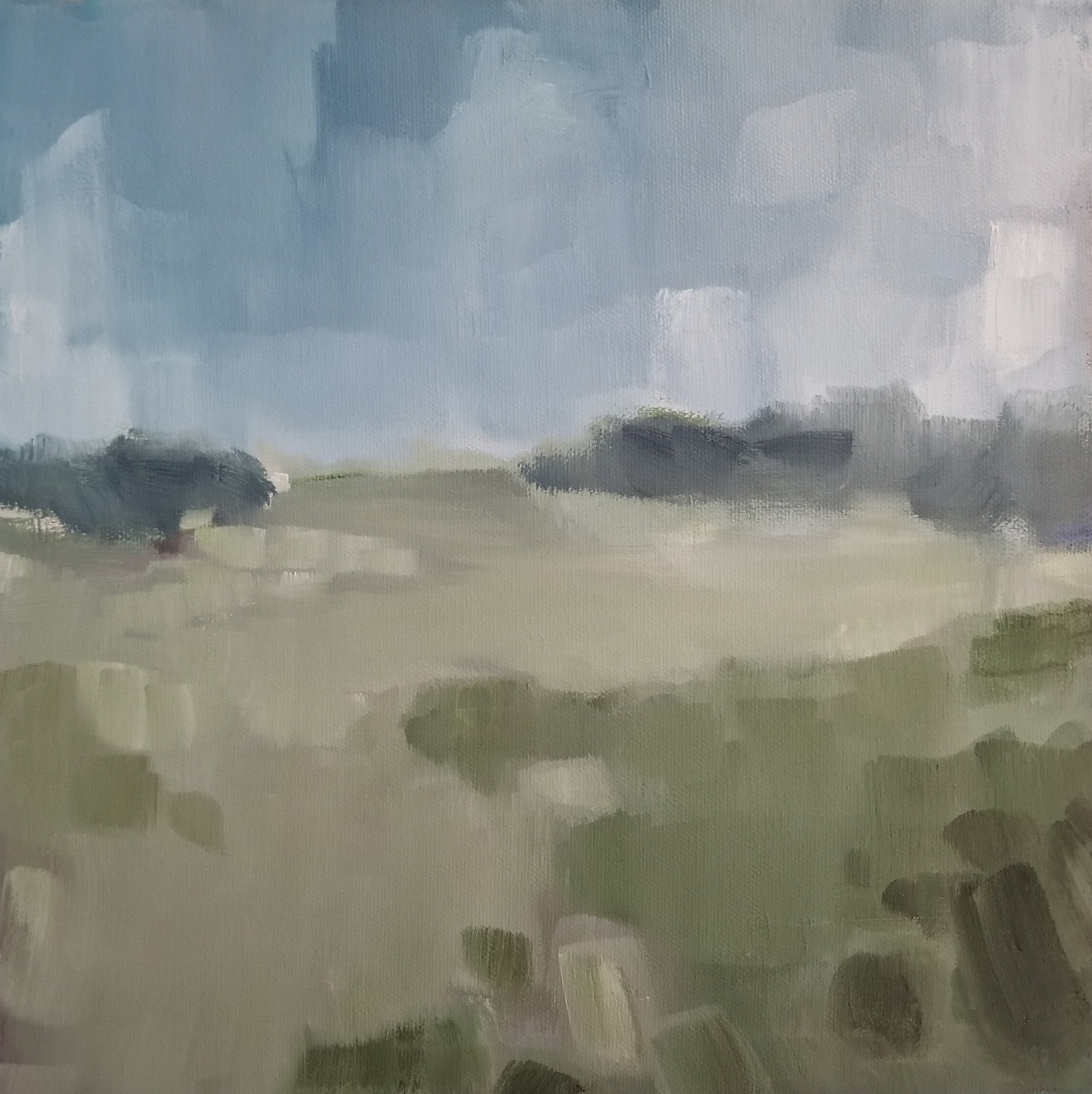 Meadow #2