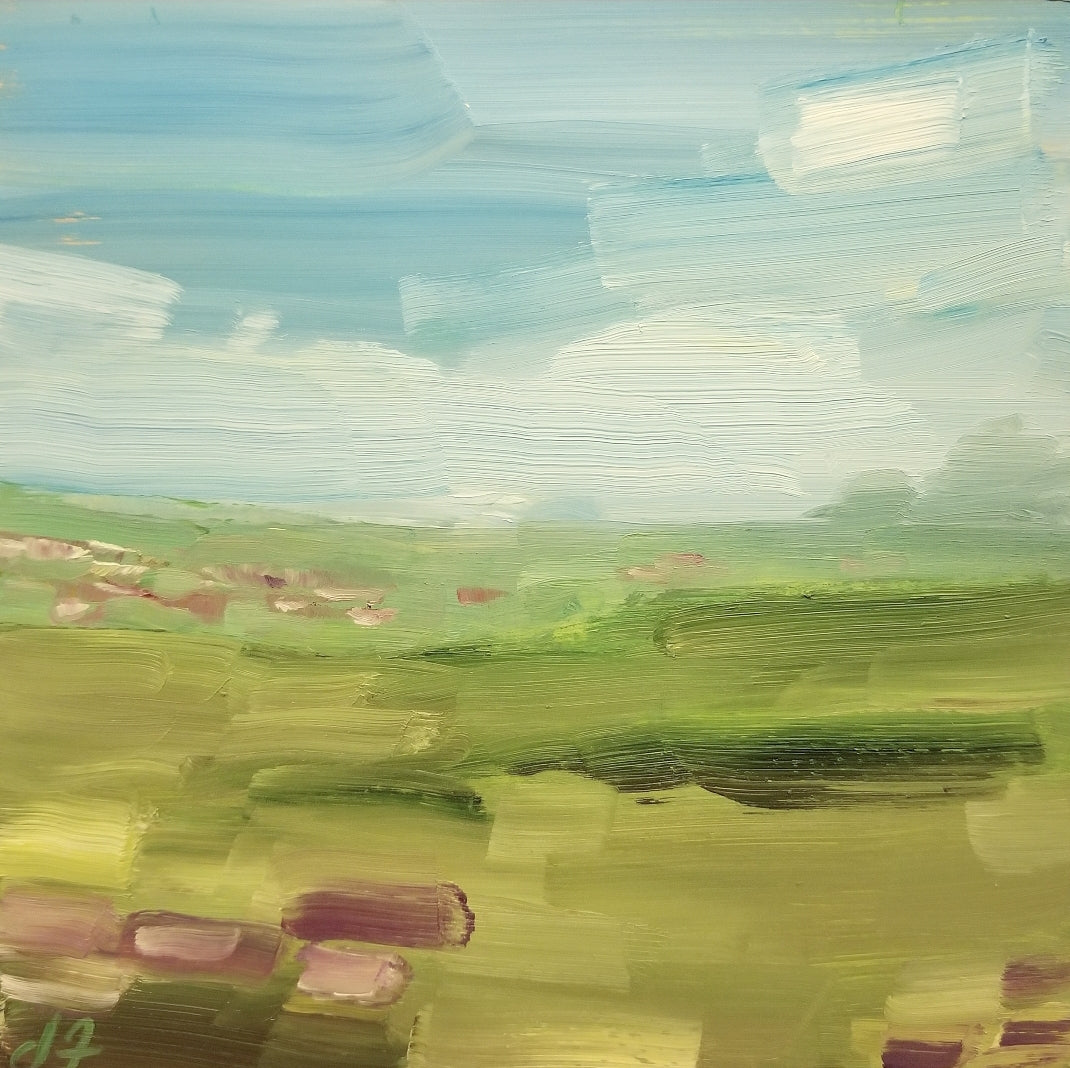 Open Field #12