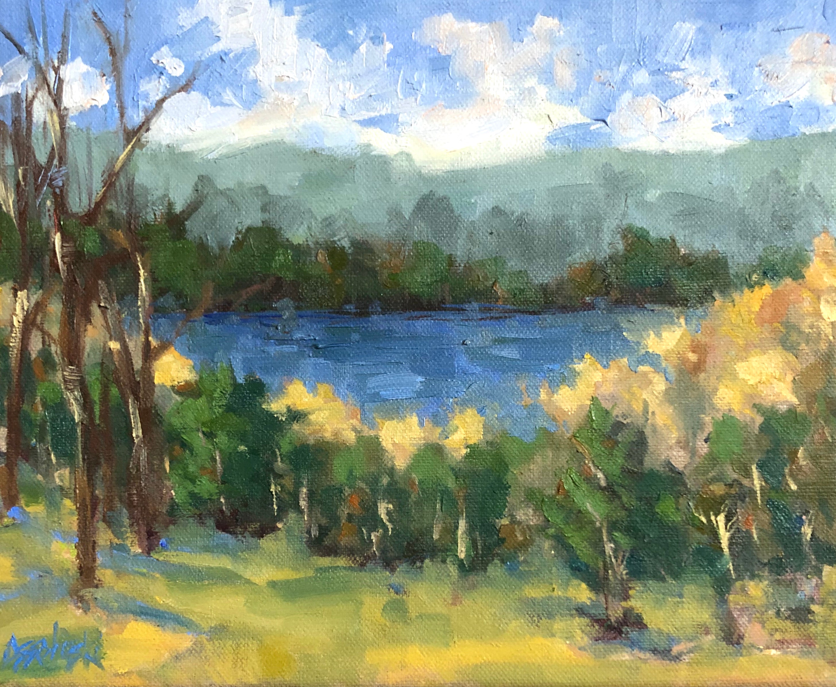 The Great Outdoors