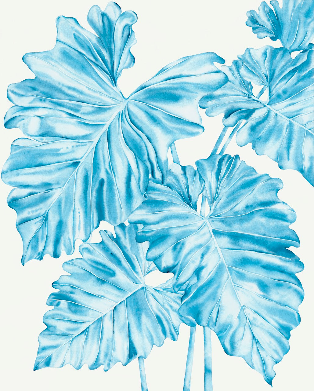 Island Whimsy