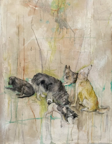 Old Dogs