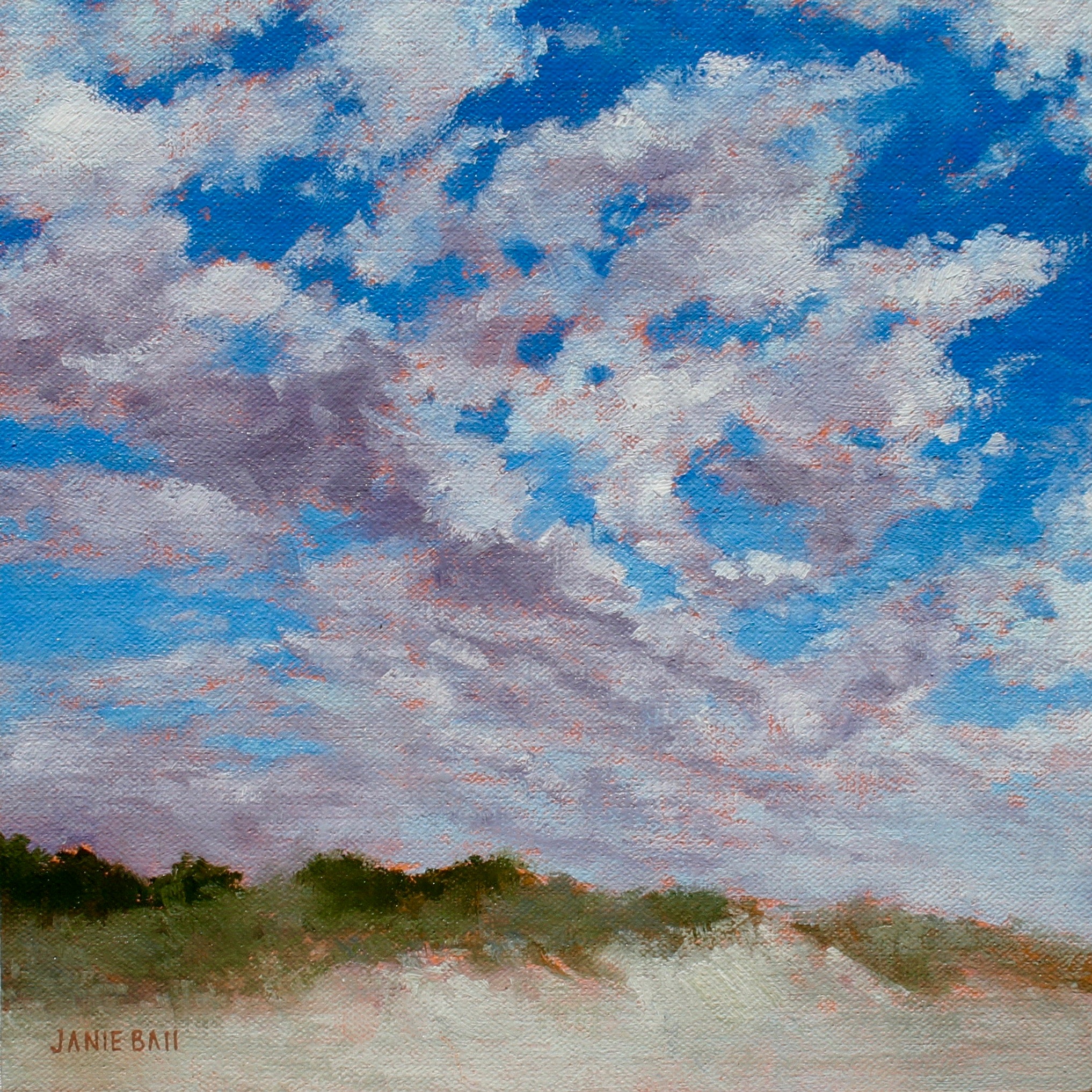 Partly Cloudy