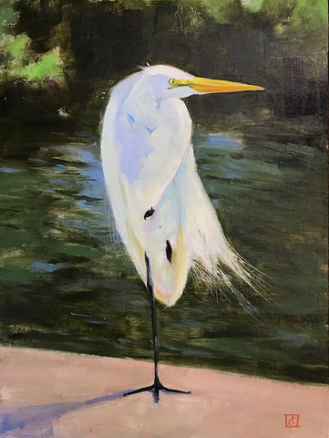 Resting Egret