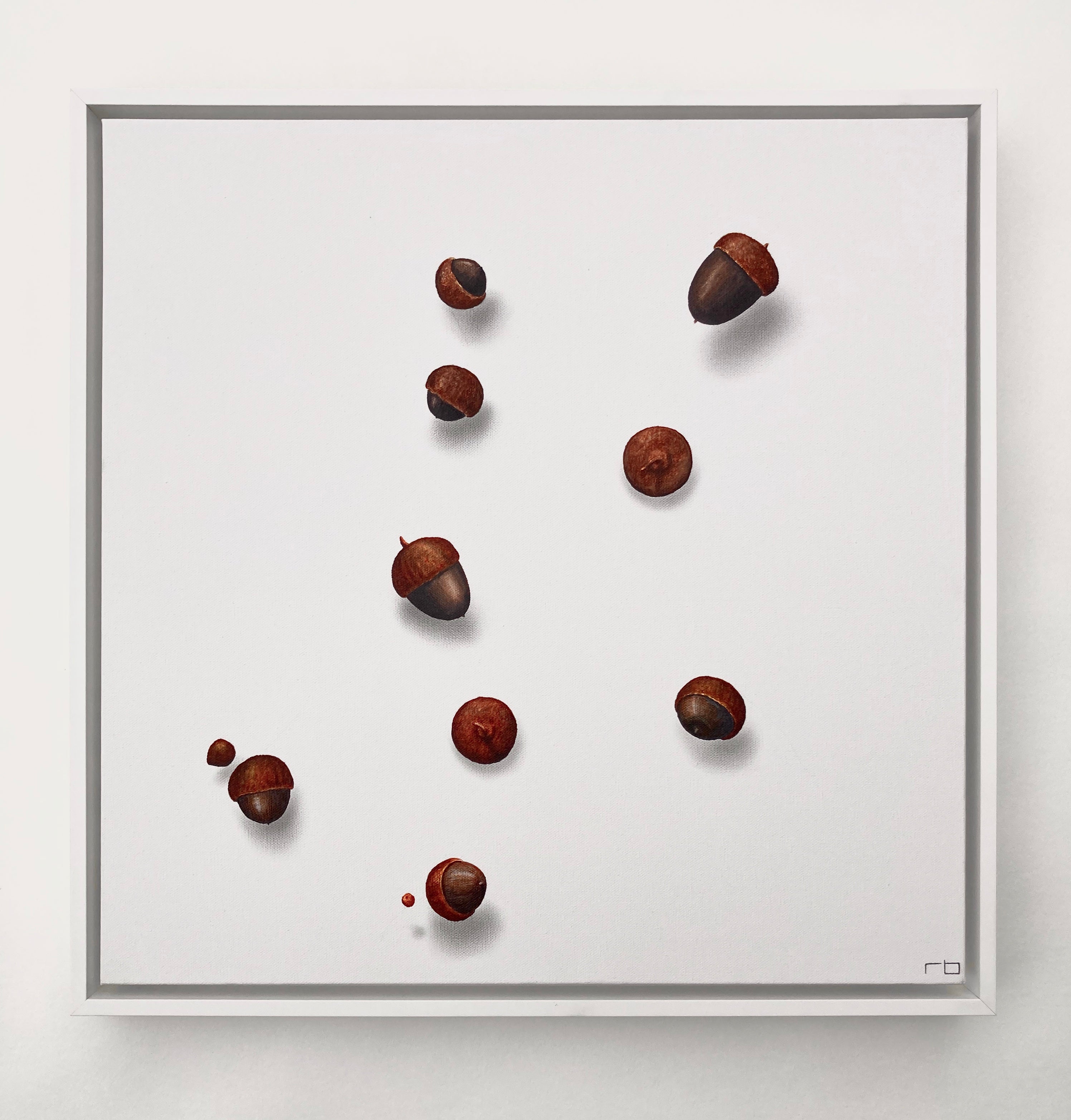Floating Acorns