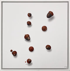 Floating Acorns