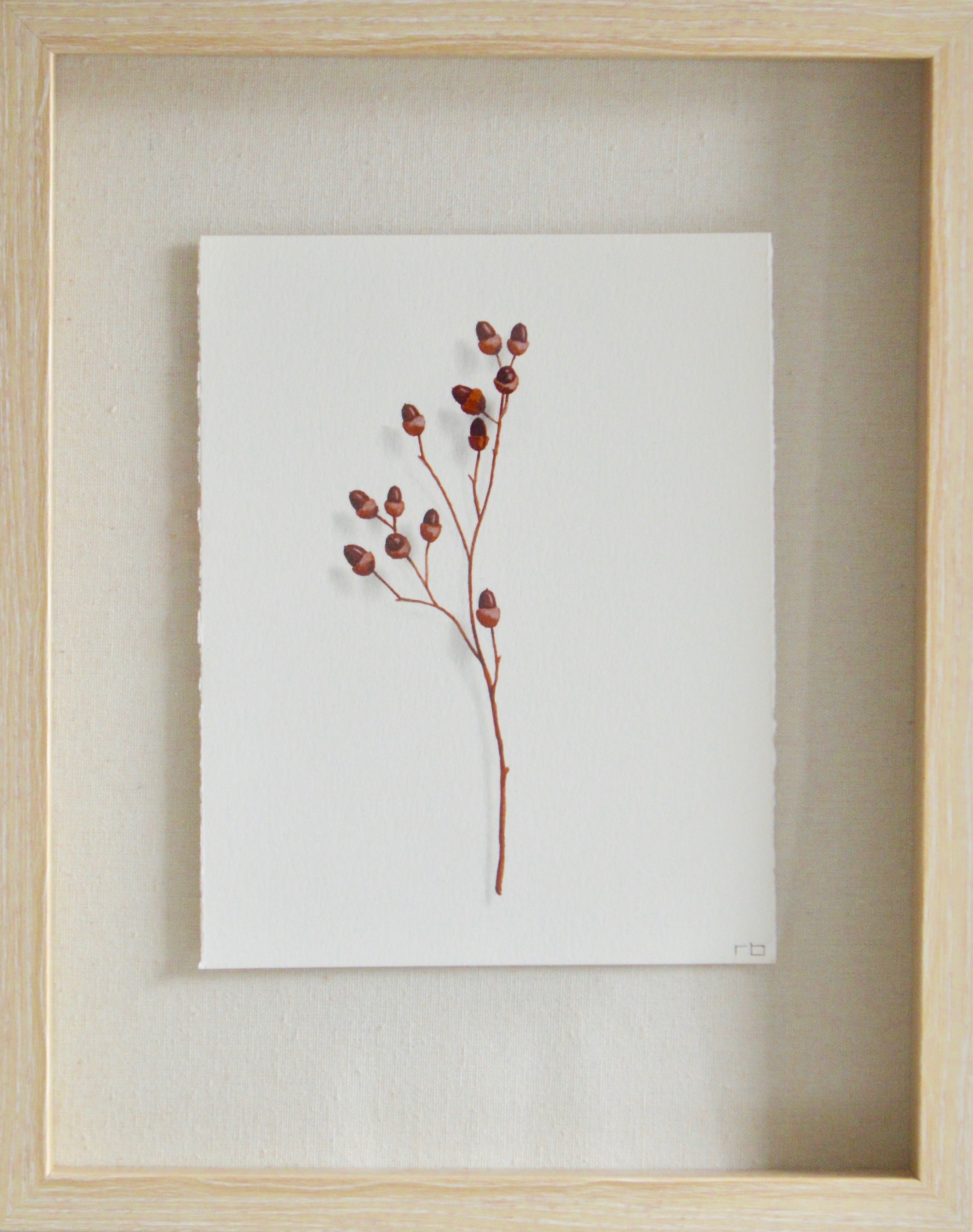 Acorn Study 4