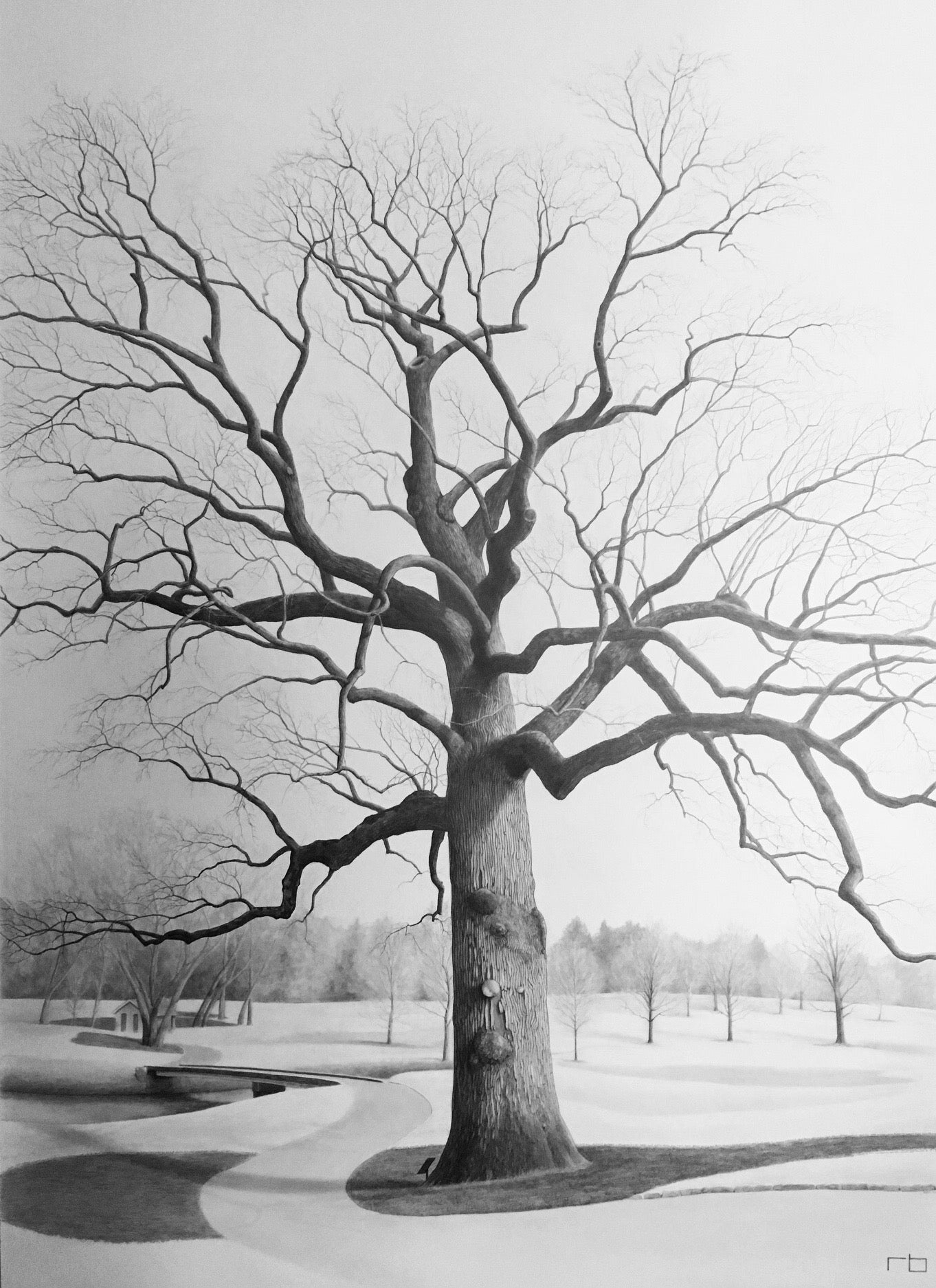 Belle Meade Tree