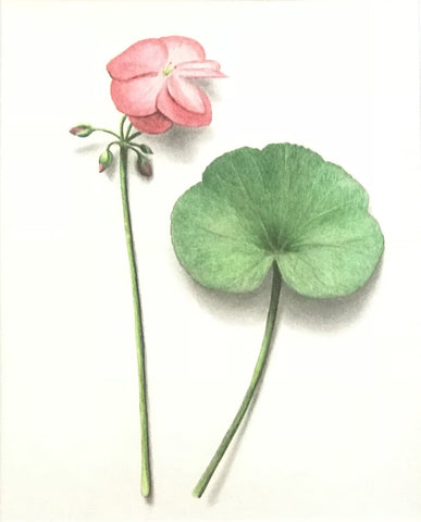Botanical I
