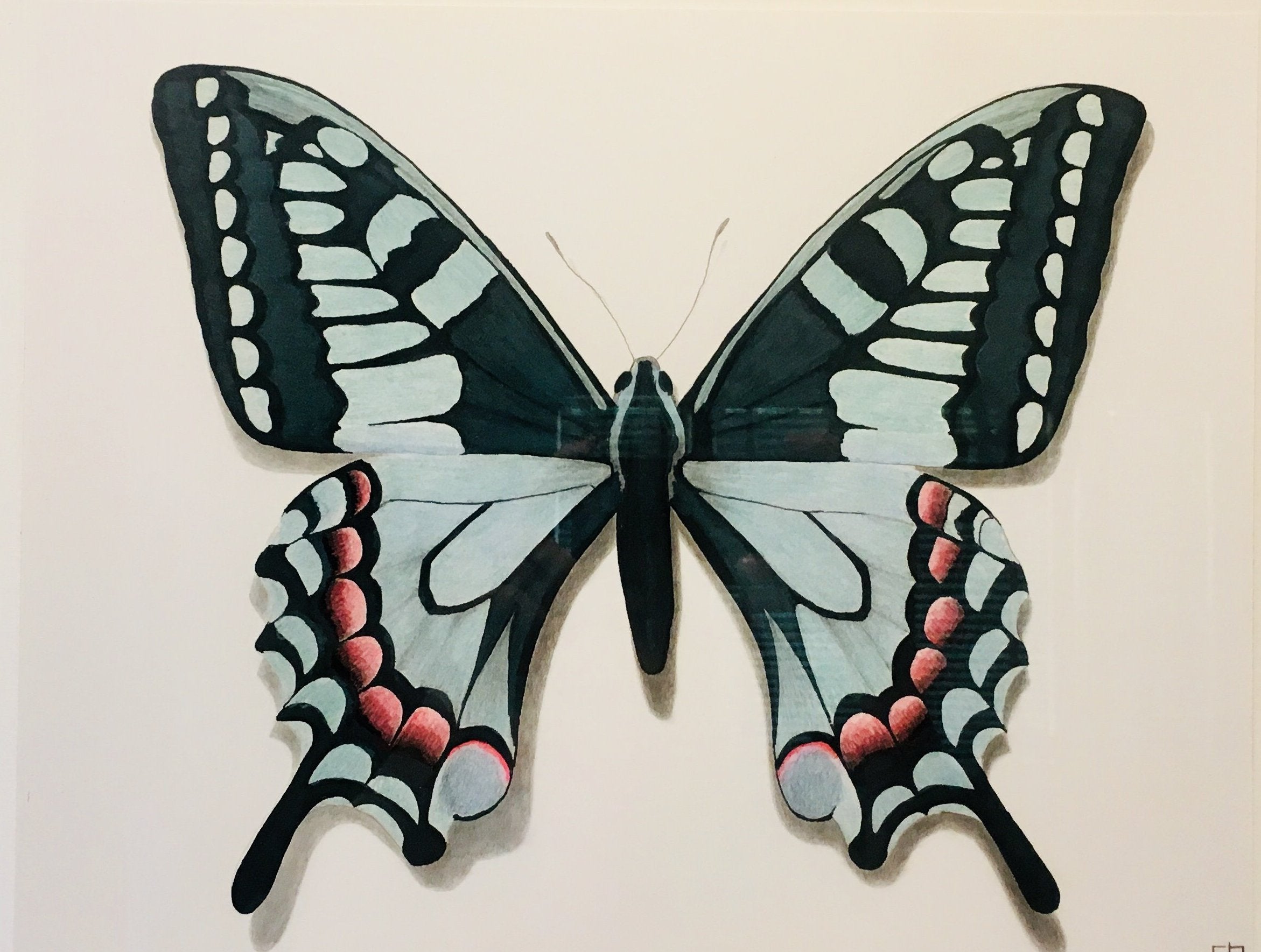 Butterfly Study 1