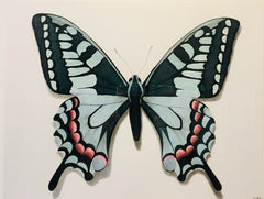 Butterfly Study 1