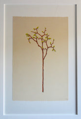Flower Bud
