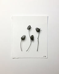 Petite Acorn II
