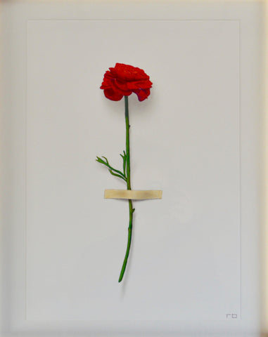 Red Flower Study