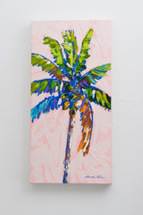 Coconut Colors