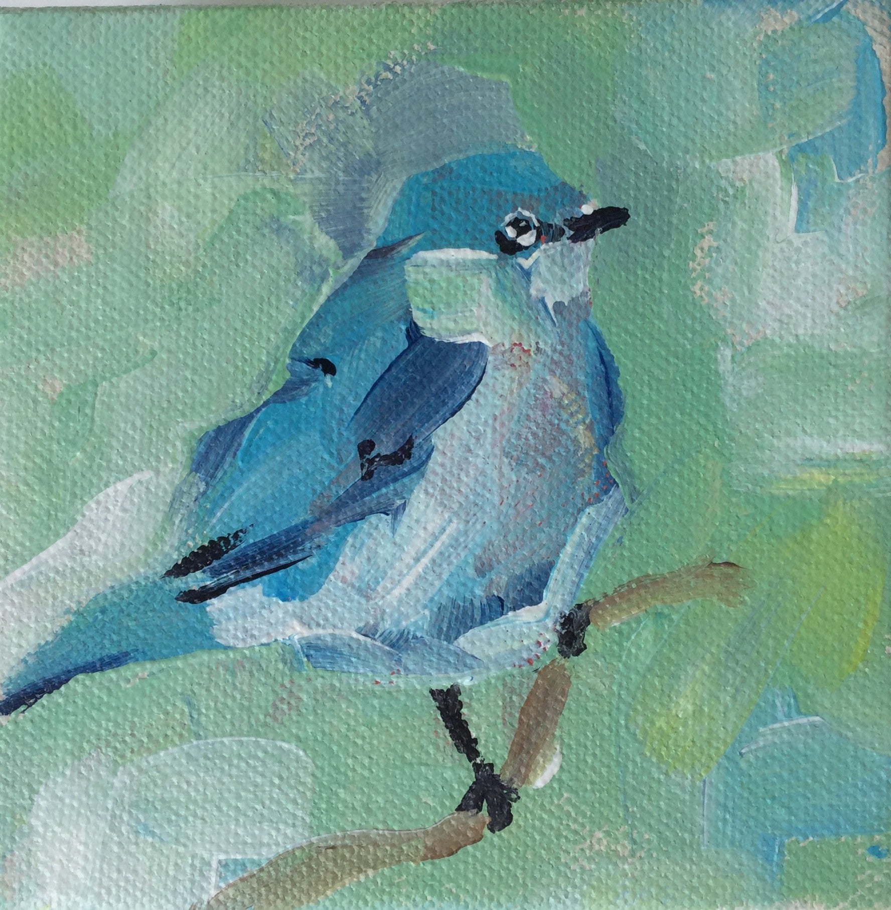Blue Bird