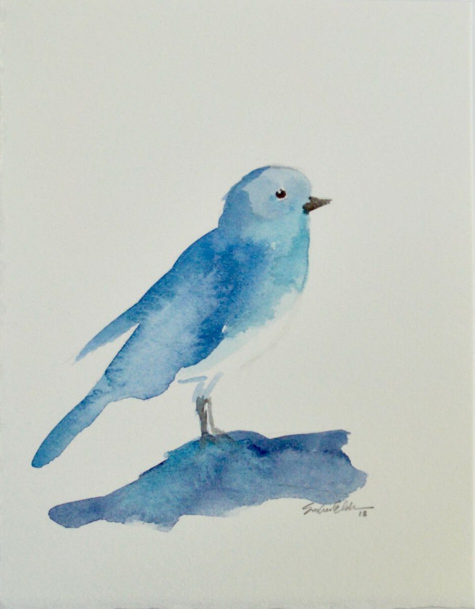 Bird 1