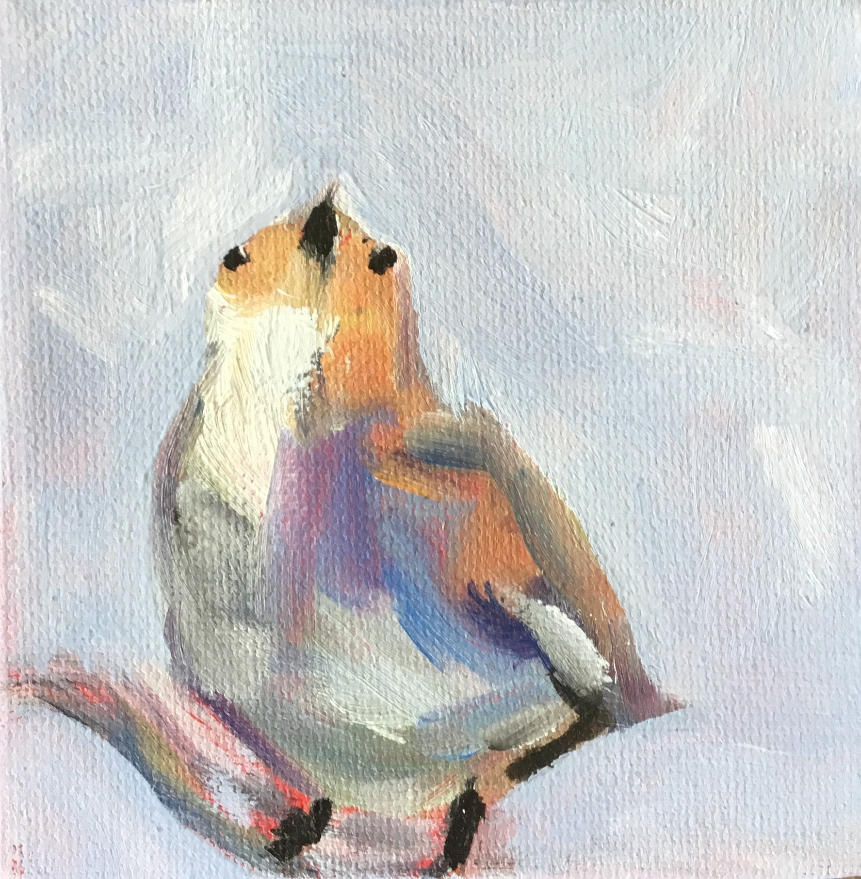 Little Bird