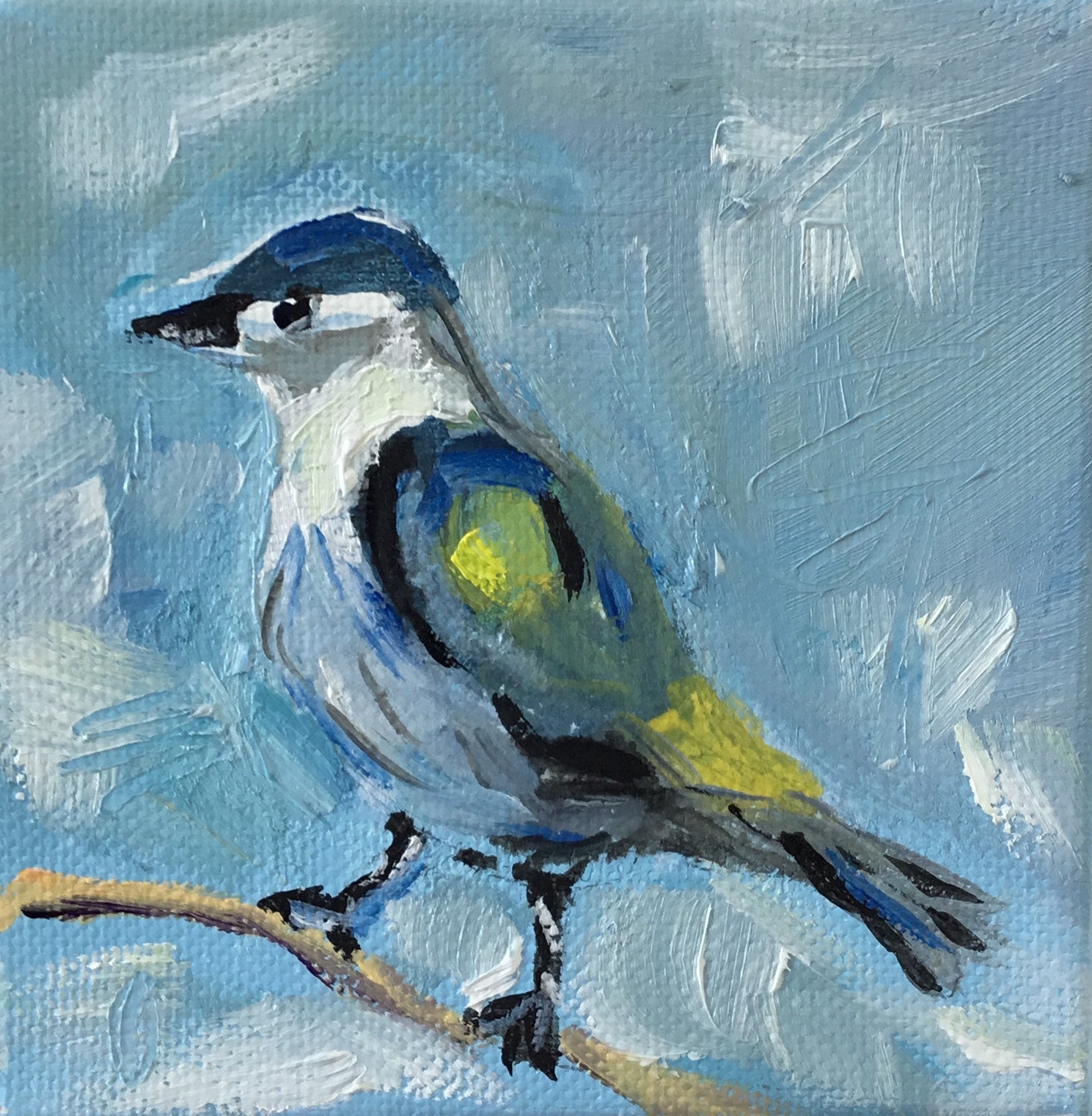 Morning Bird