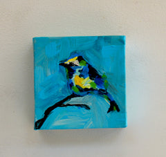 Small Blue Bird