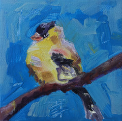 Yellow Chicadee