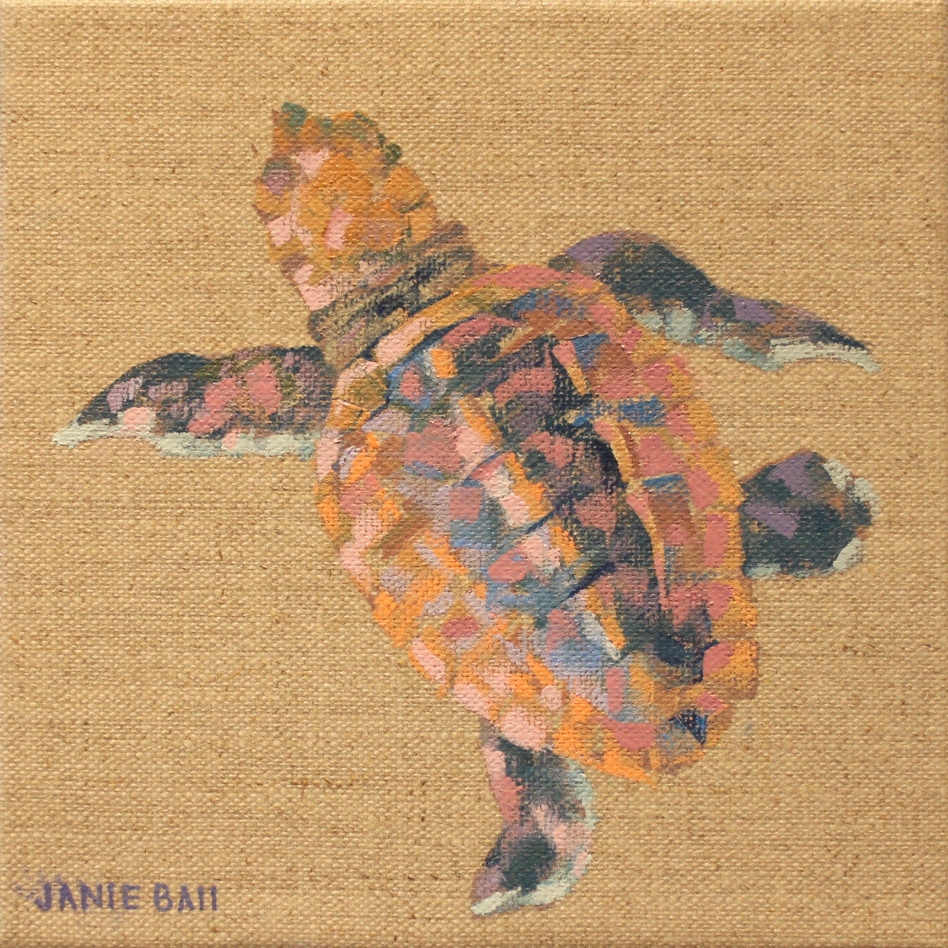 Turtle IV
