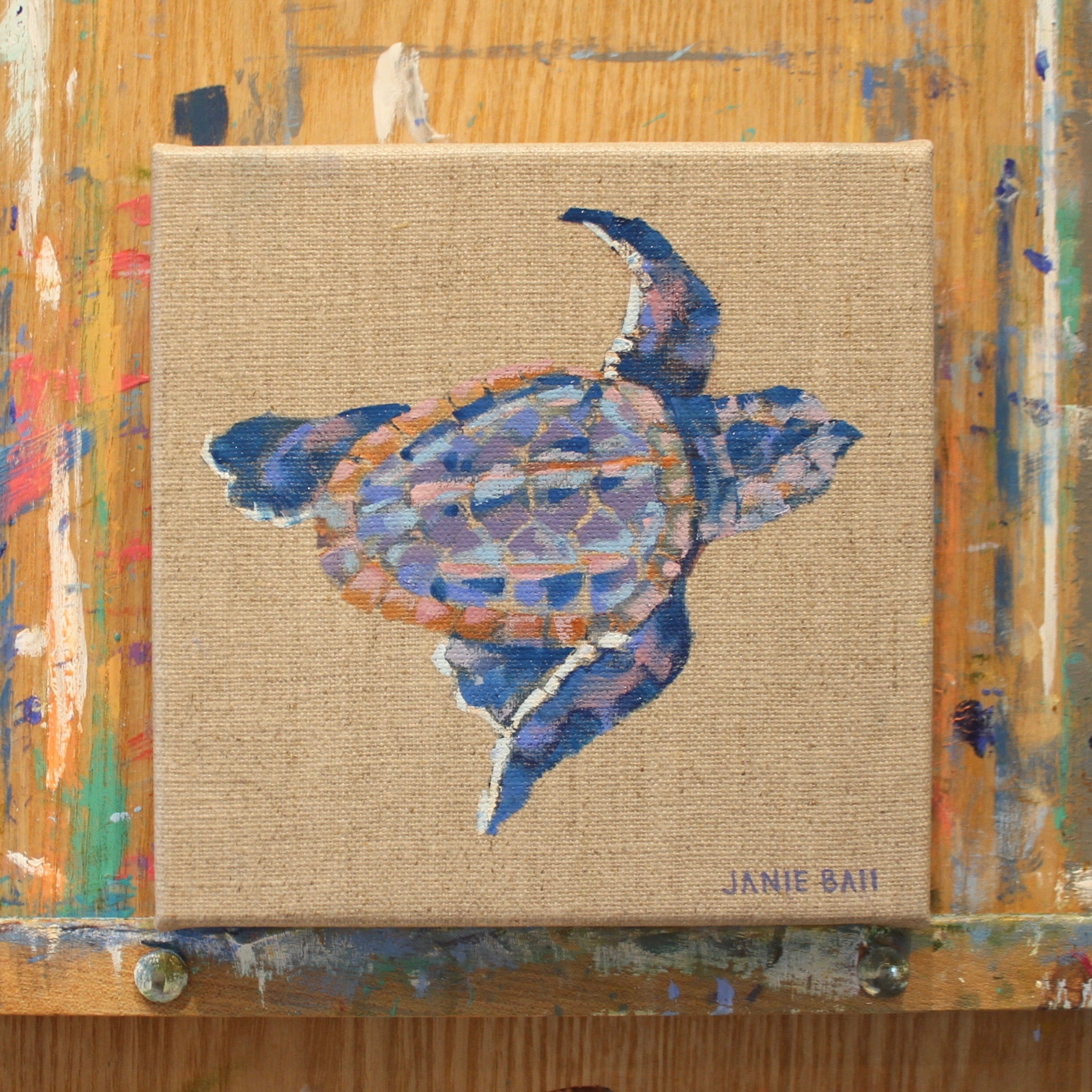 Turtle I