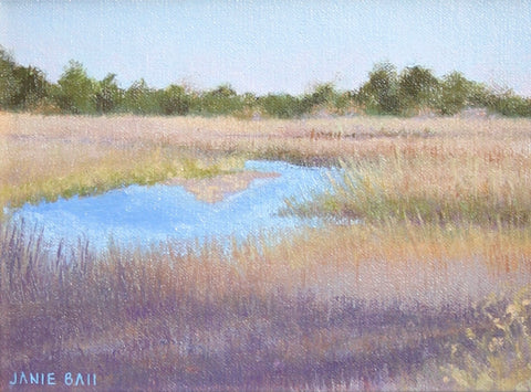 Winter Marsh