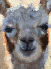 Lovely Llama