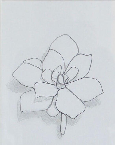 Abstract Succulent I