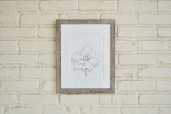 Abstract Succulent I